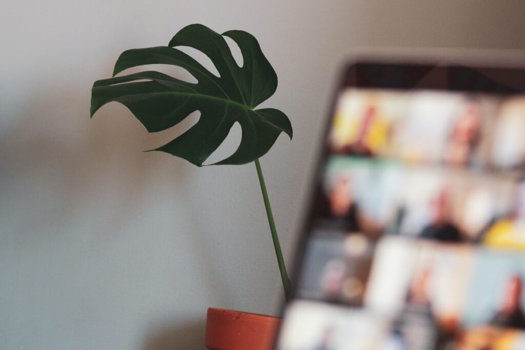 What is Virtual Teams?